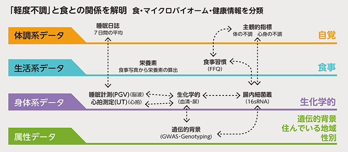 食によるヘルスケア産業創出のイメージ